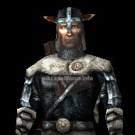 Wulfgar Town Guard